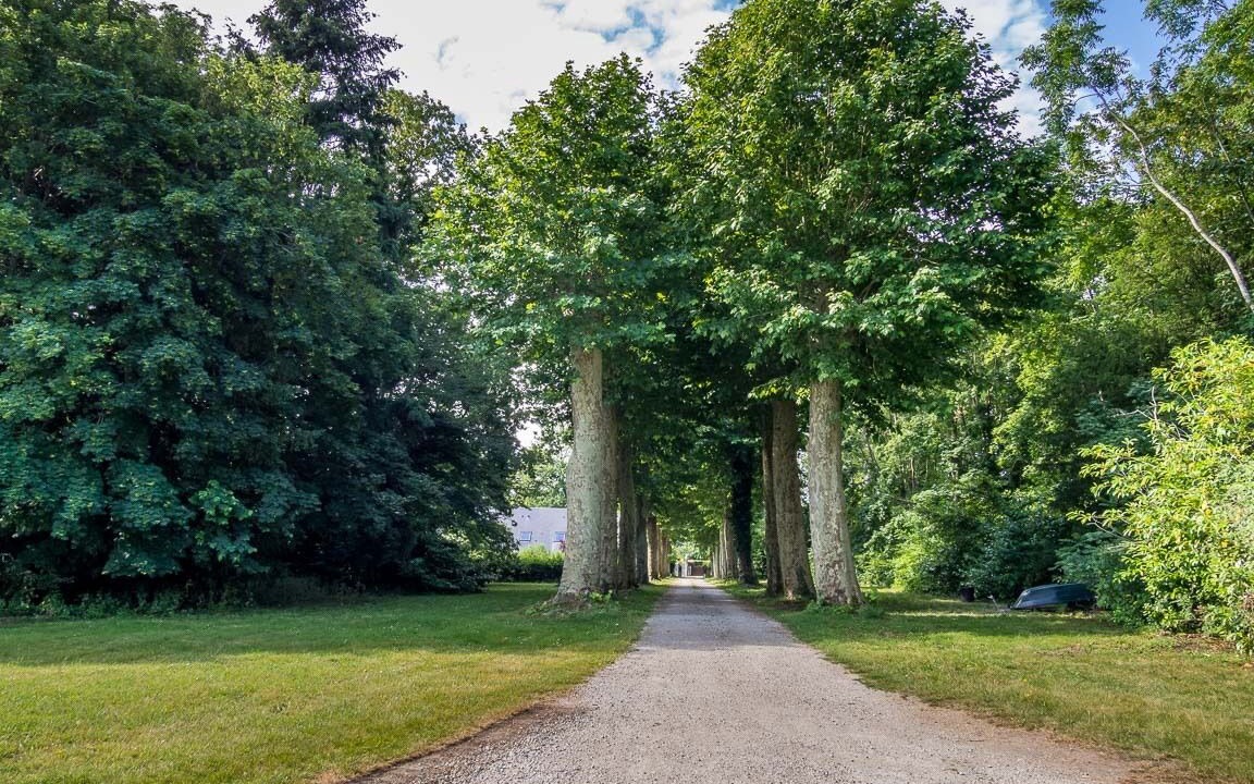 Photo of Outdoor in Olivet