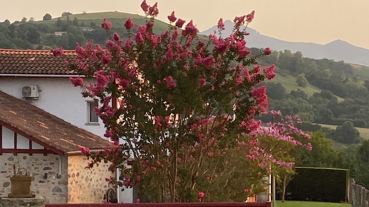 Photo of Outdoor in Urcuray