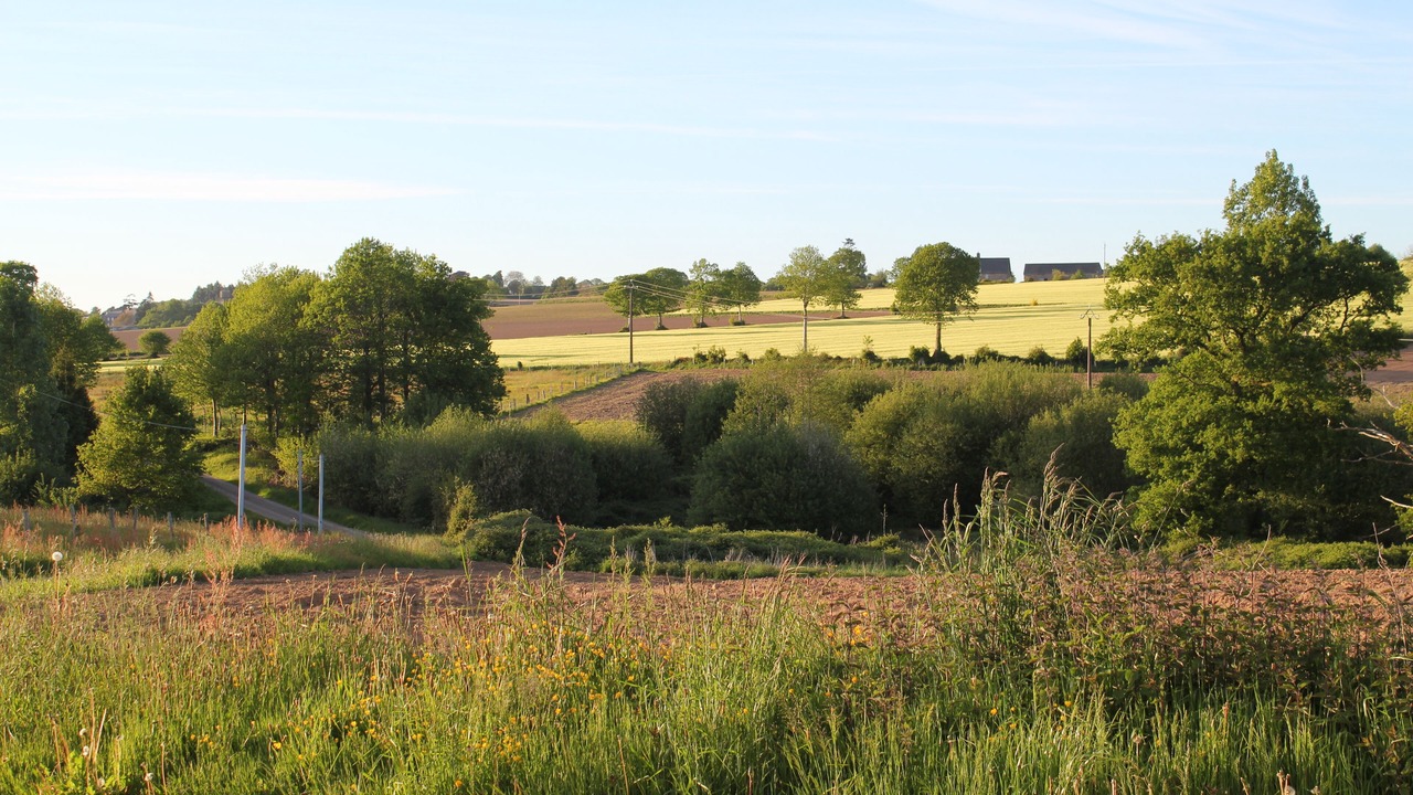 Photo of Others in Saint-Brice-de-Landelles