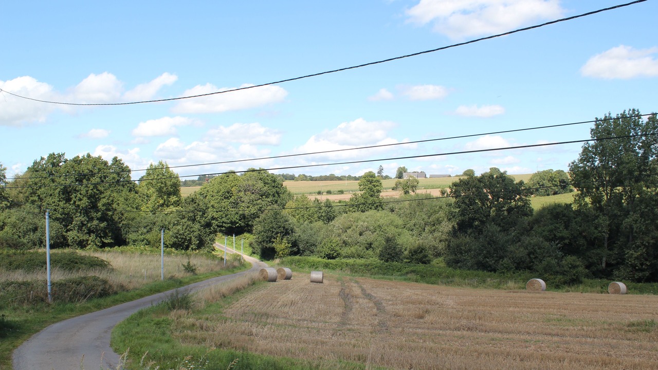 Photo of Others in Saint-Brice-de-Landelles