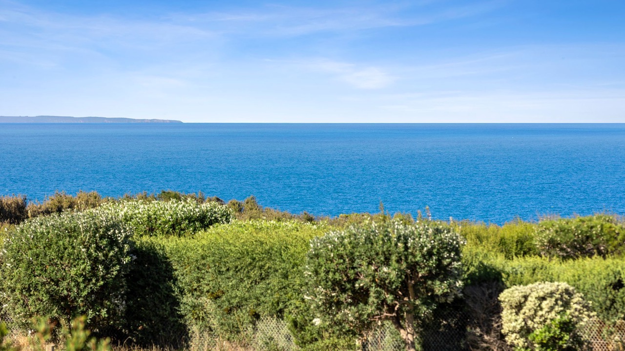 Photo of Others in Jan Juc