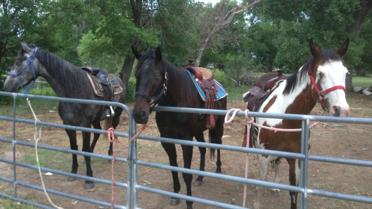 Photo of Others in Hutchinson