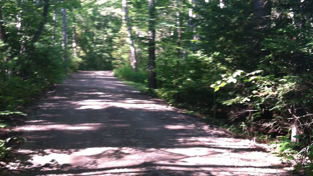 Photo of Others in Lincolnville