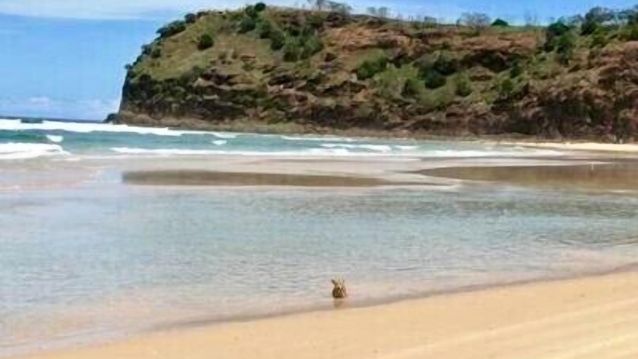 Photo of Others in Happy Valley