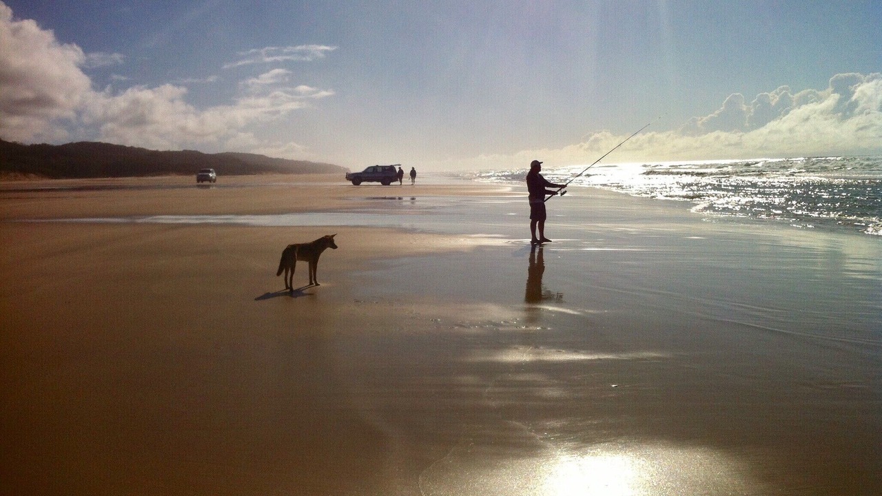 Photo of Others in Happy Valley