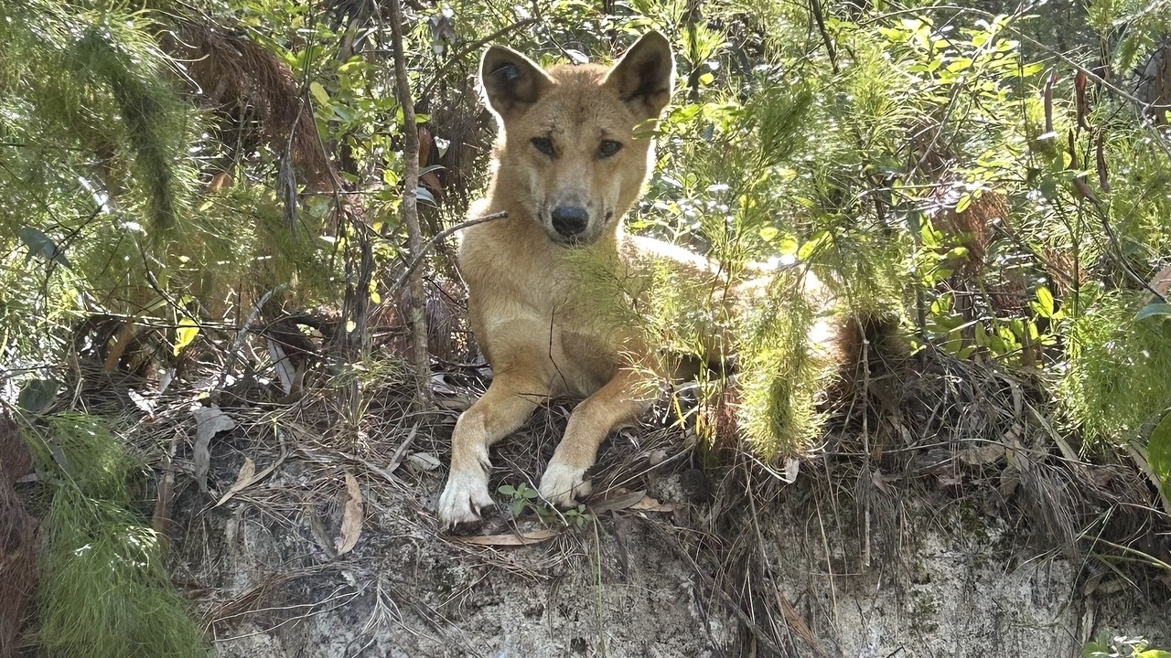 Photo of Others in Happy Valley