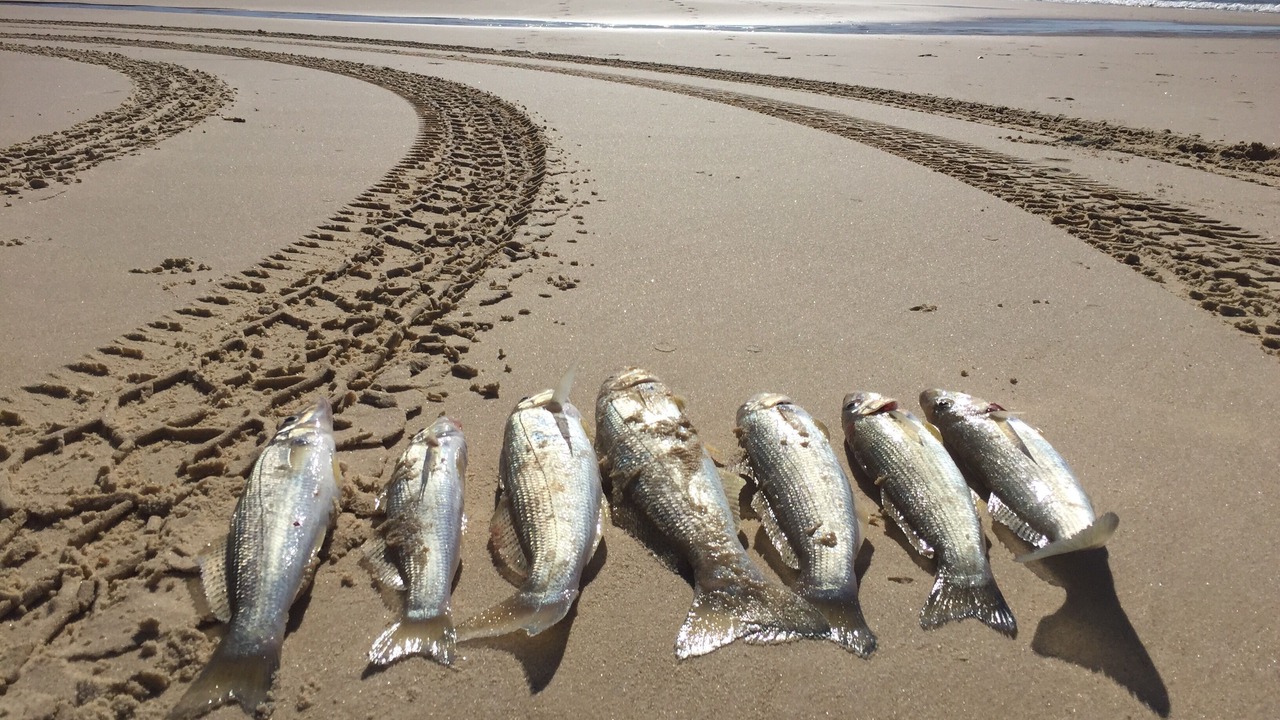Photo of Others in Happy Valley