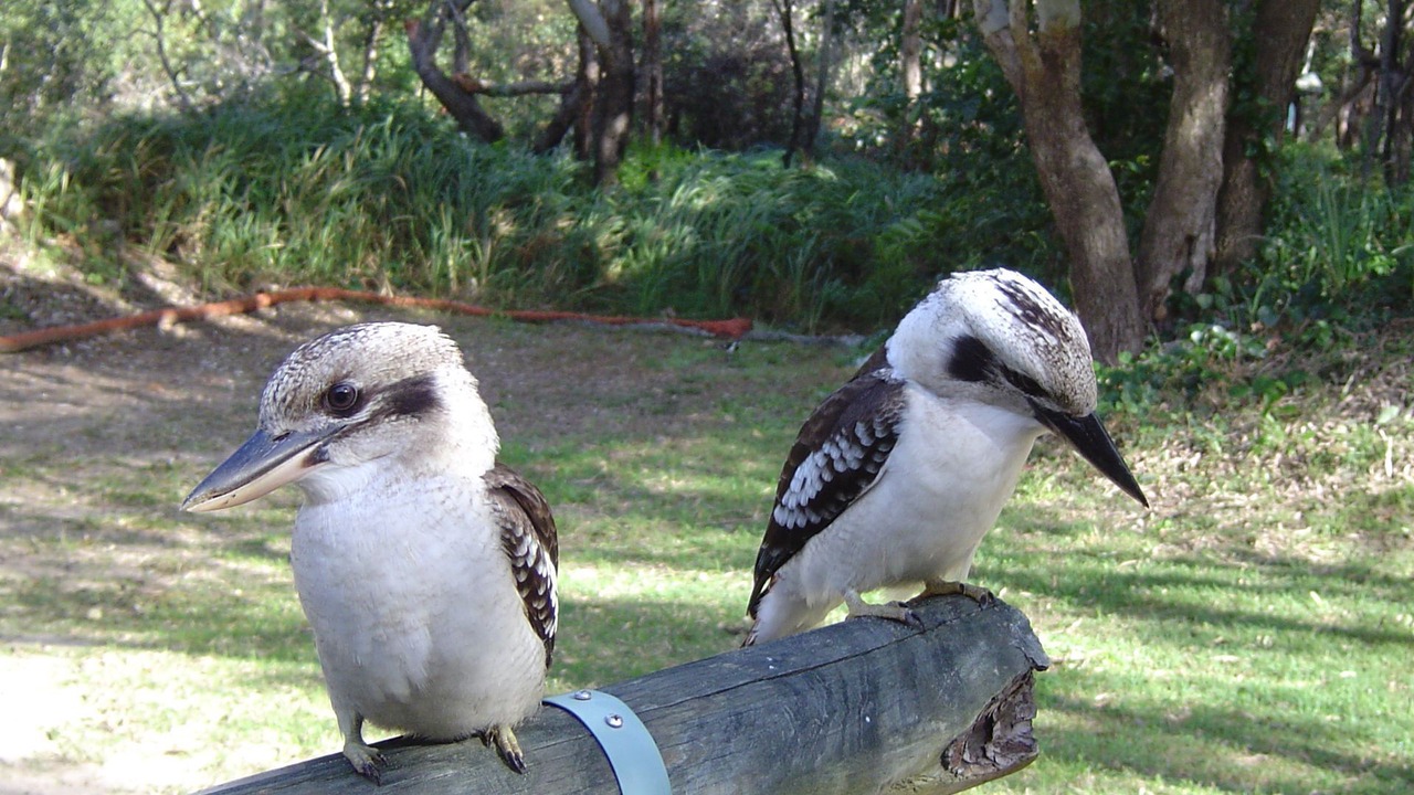 Photo of Others in Happy Valley