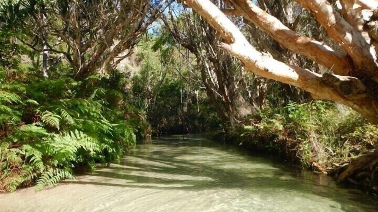 Photo of Others in Happy Valley