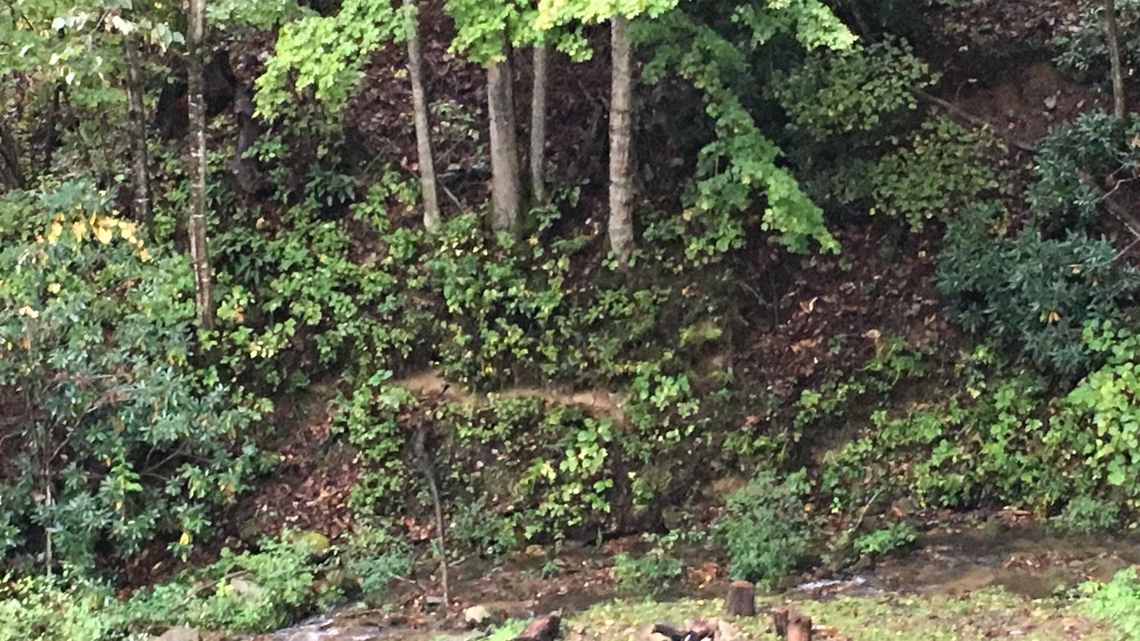 Photo of Others in Hot Springs