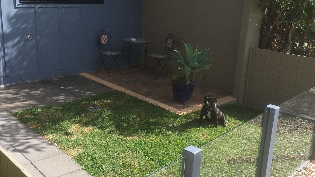 Photo of Others in Labrador