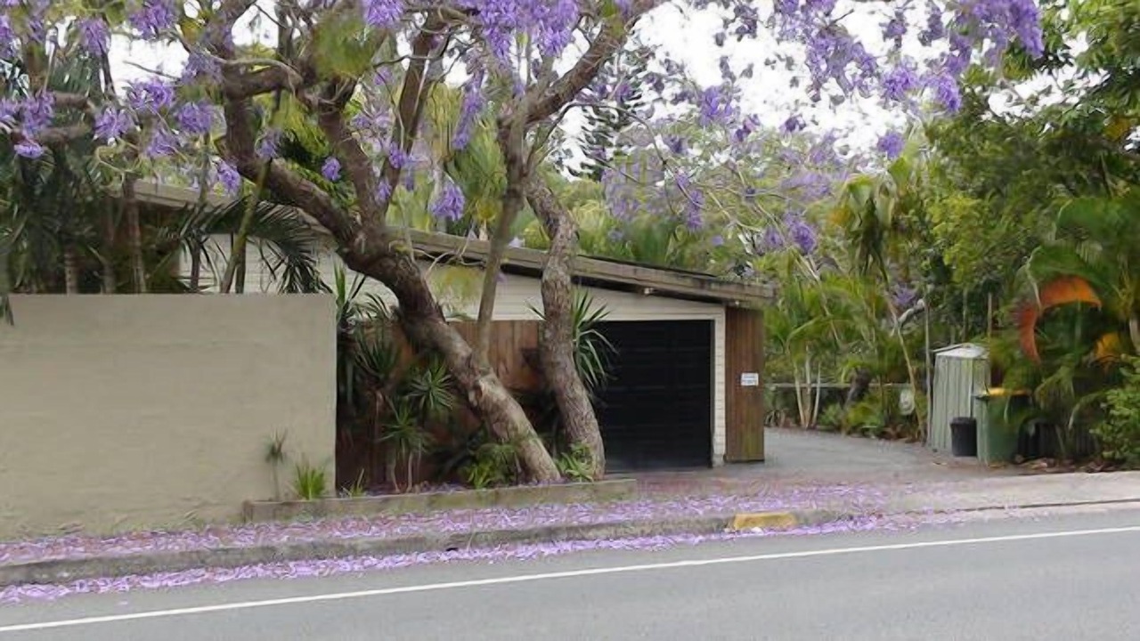 Photo of Others in Labrador