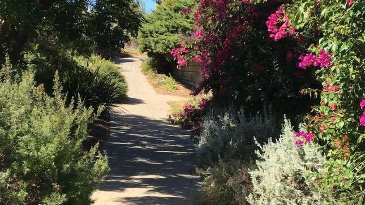 Photo of Outdoor in Moonta Bay