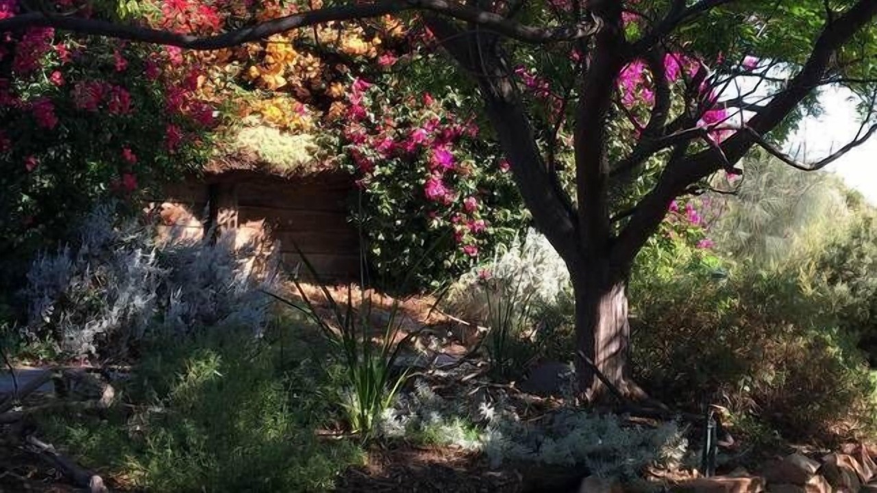 Photo of Outdoor in Moonta Bay