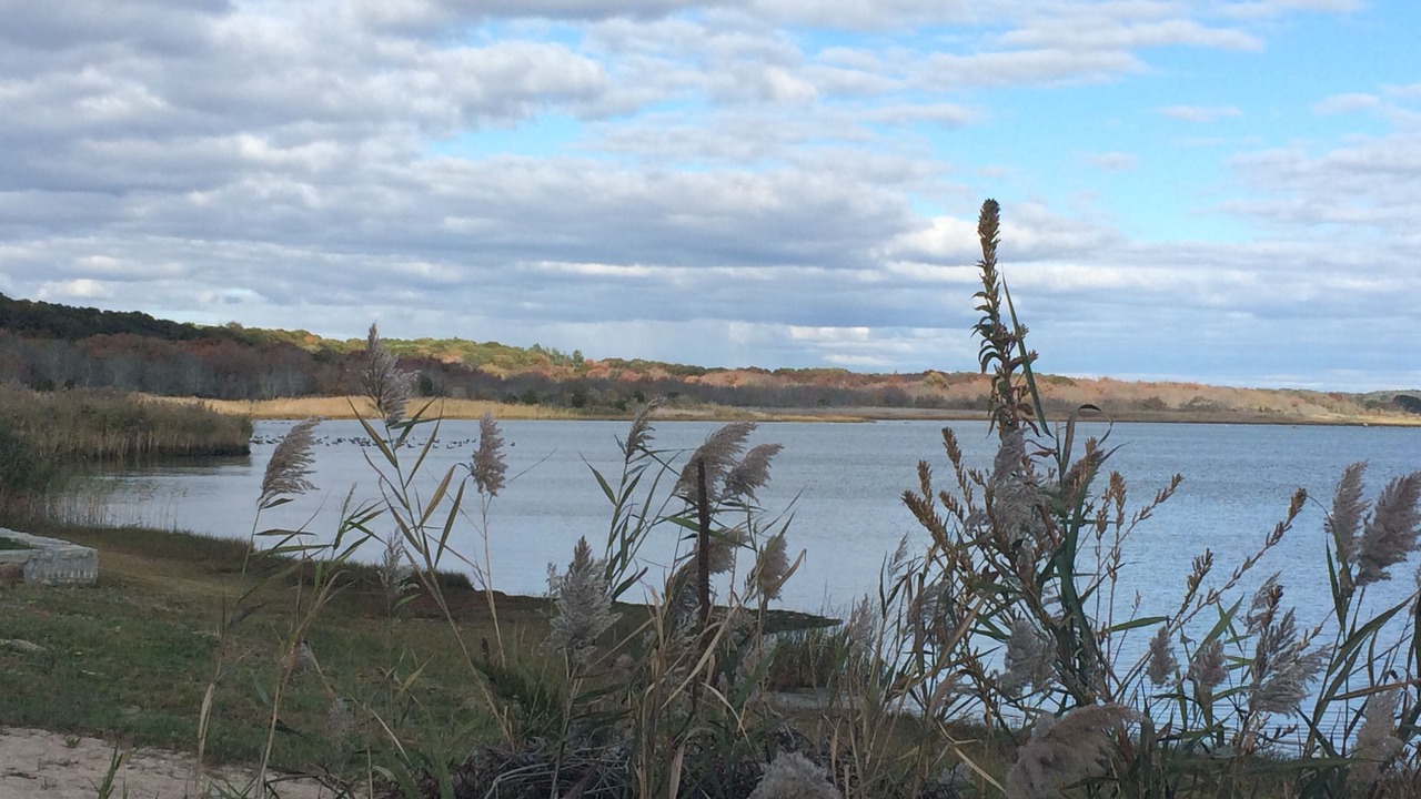 Photo of Others in Misquamicut