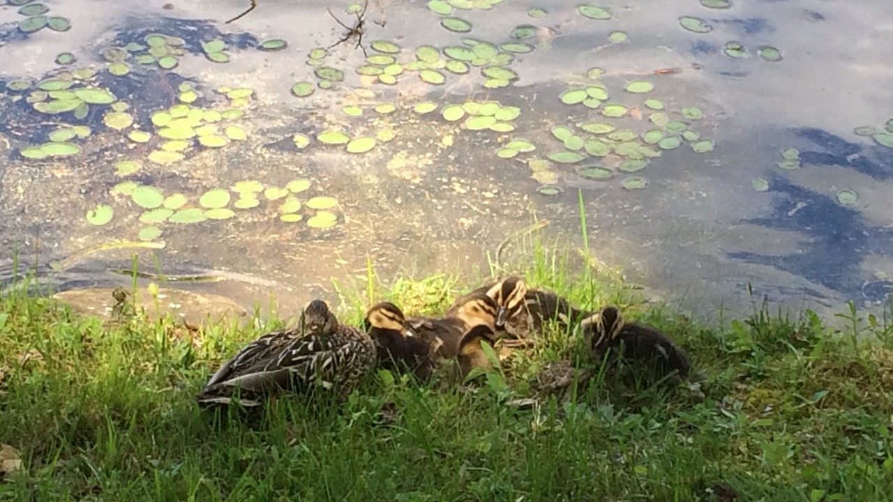 Photo of Outdoor in Ludlow