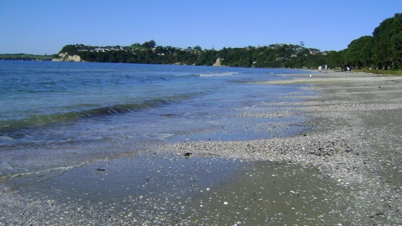 Photo of Others in Snells Beach