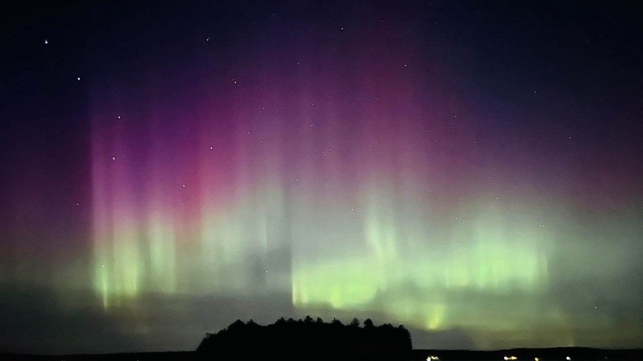 Photo of Others in Phelps