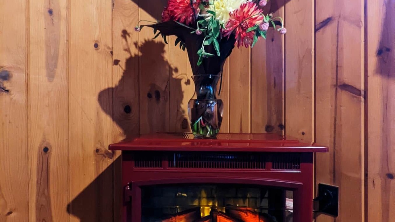 Photo of Livingroom in Phelps