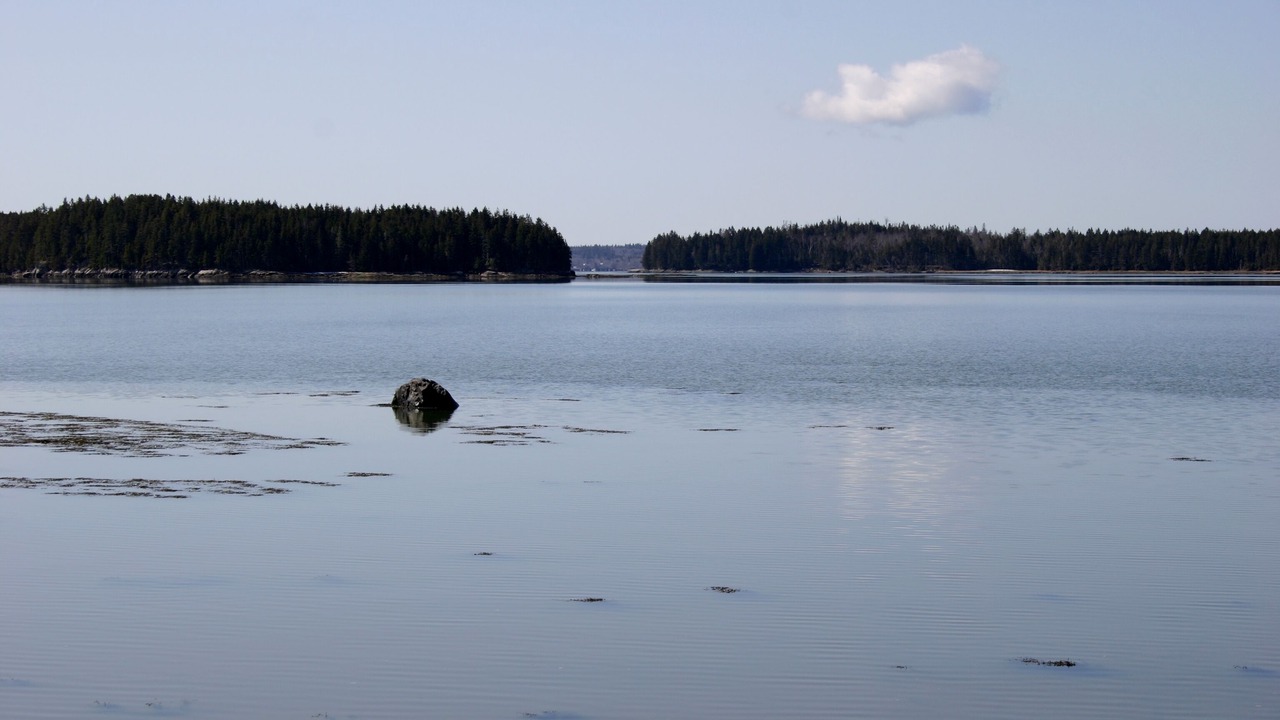 Photo of Others in Milbridge