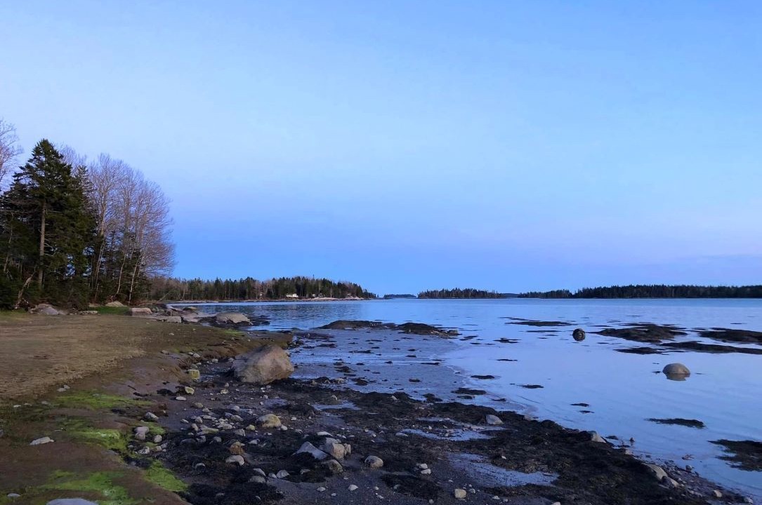 Photo of Others in Milbridge