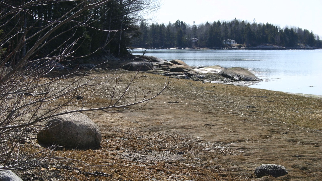 Photo of Others in Milbridge