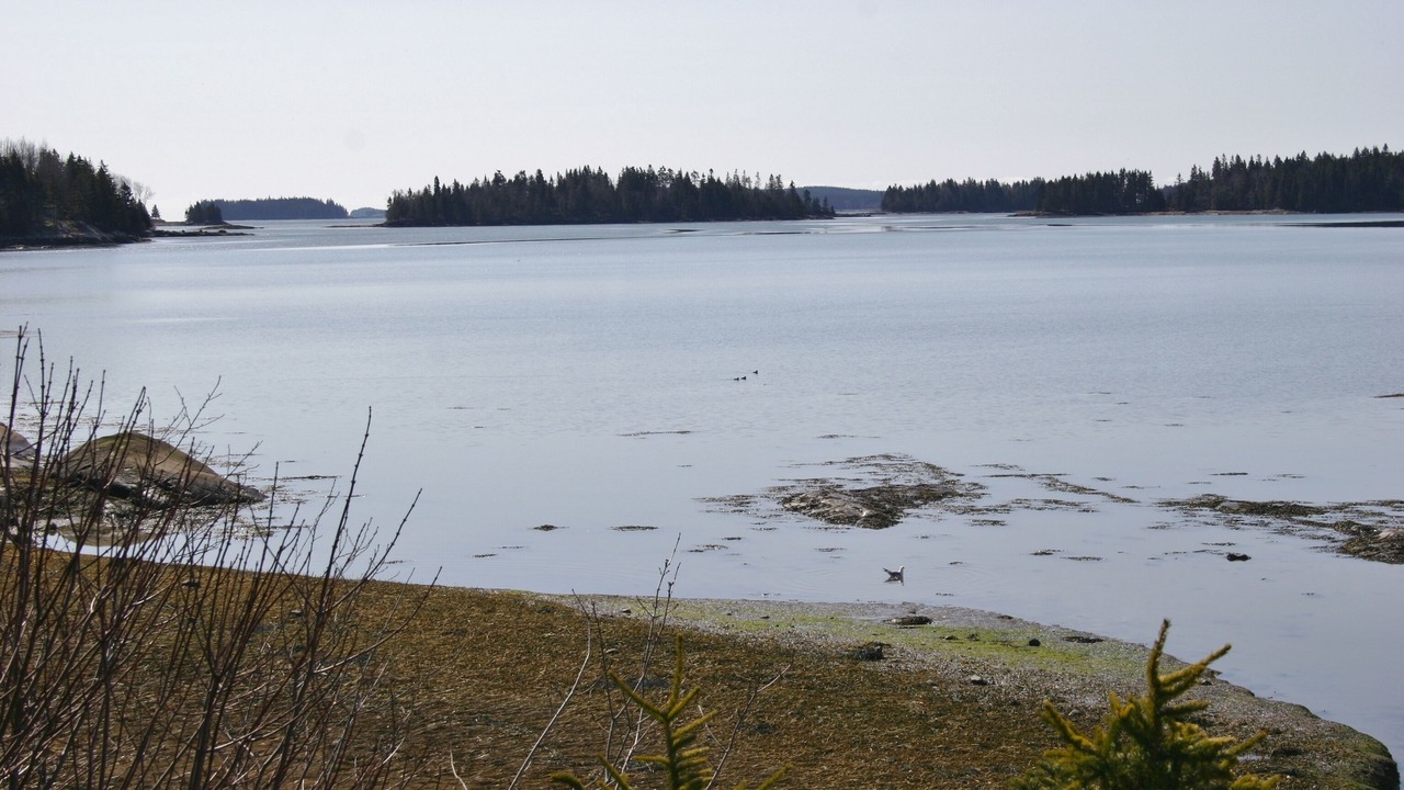 Photo of Others in Milbridge