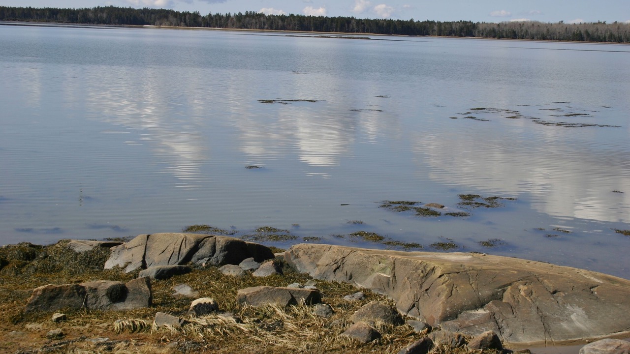 Photo of Others in Milbridge