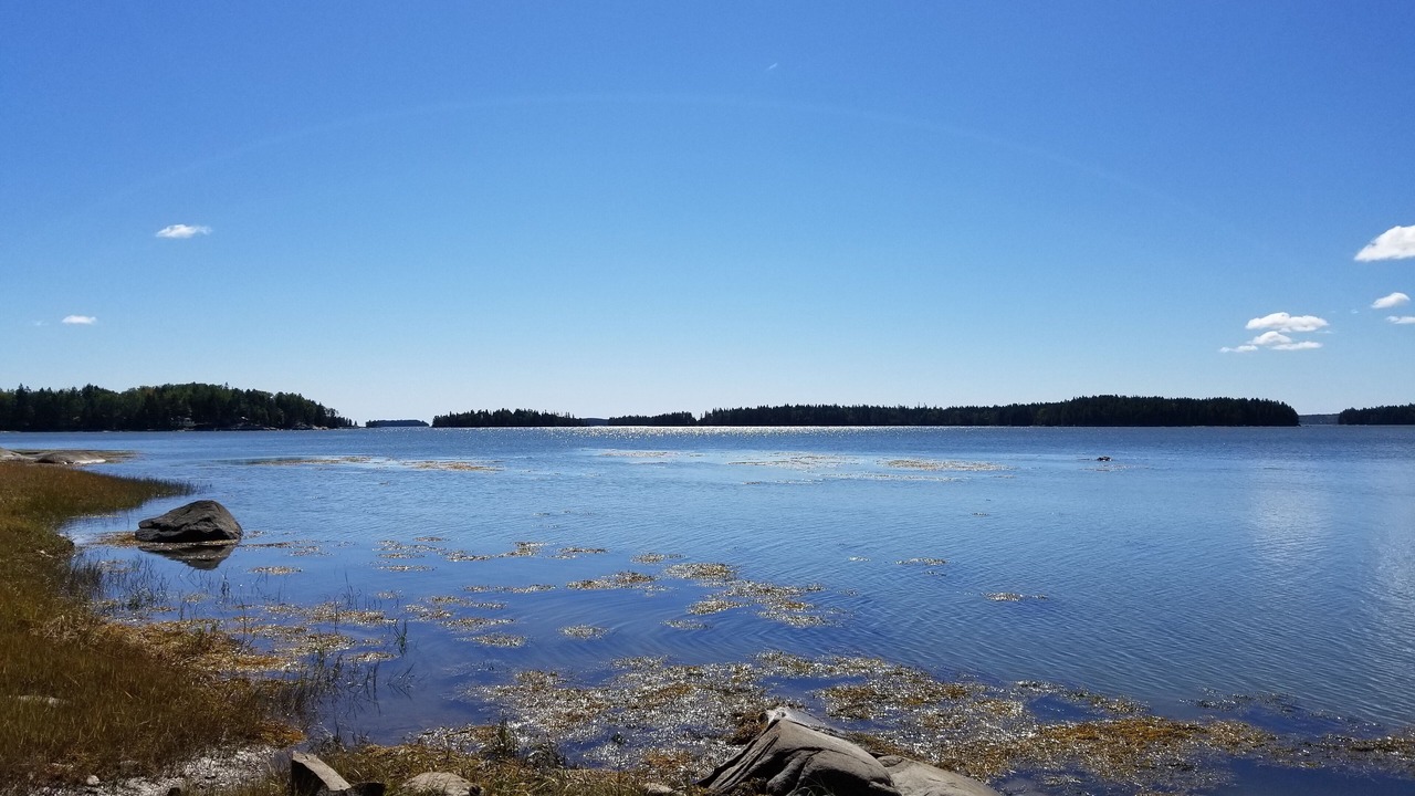 Photo of Others in Milbridge