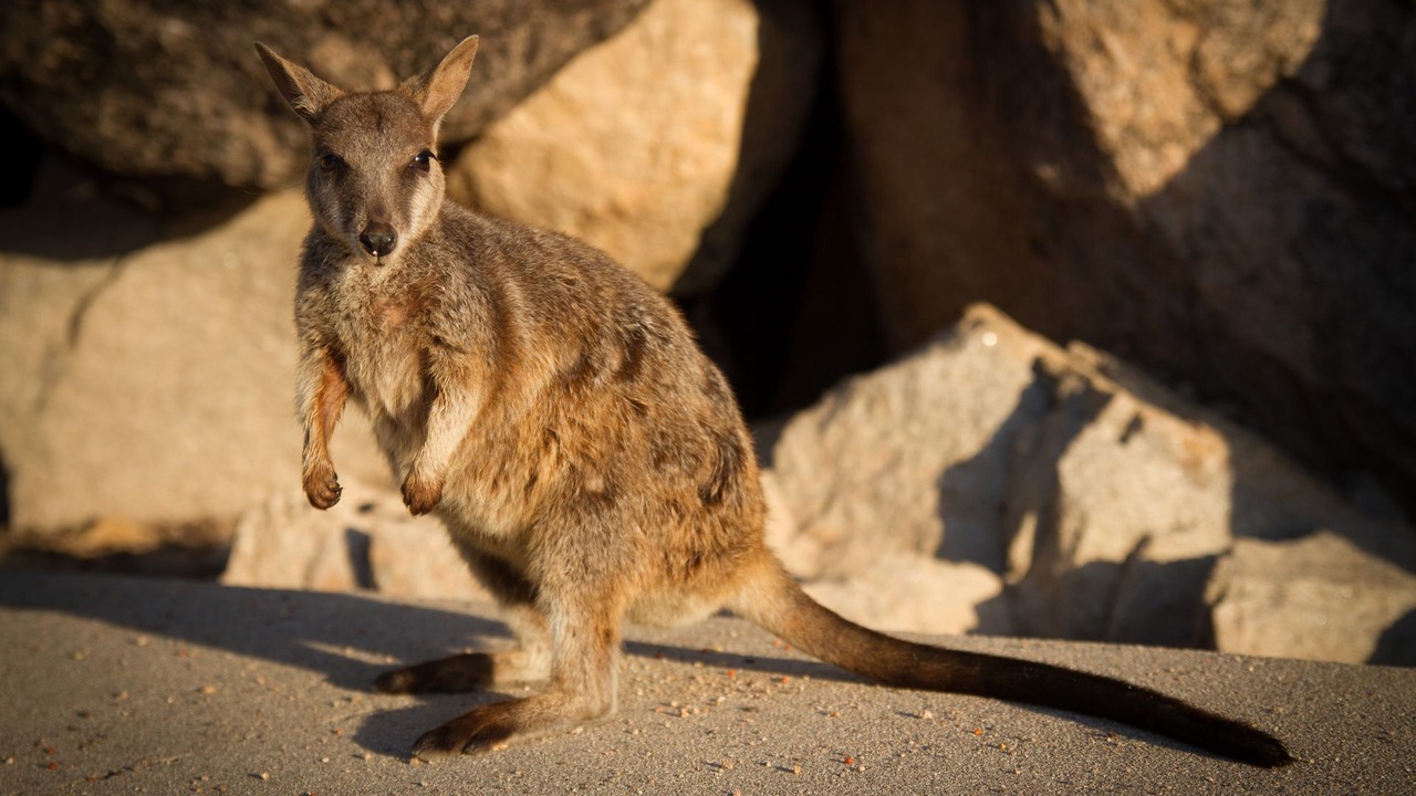 Photo of Others in Arcadia