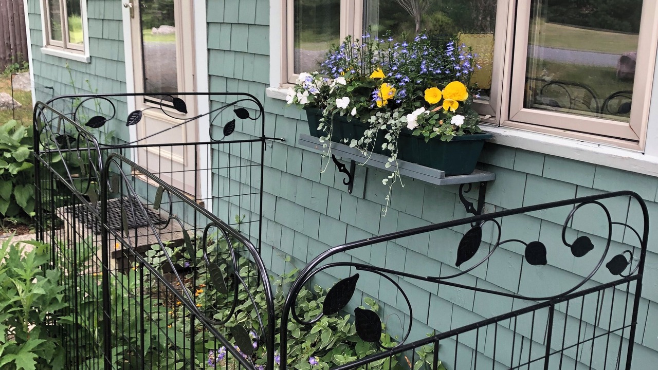 Photo of Outdoor in Somesville