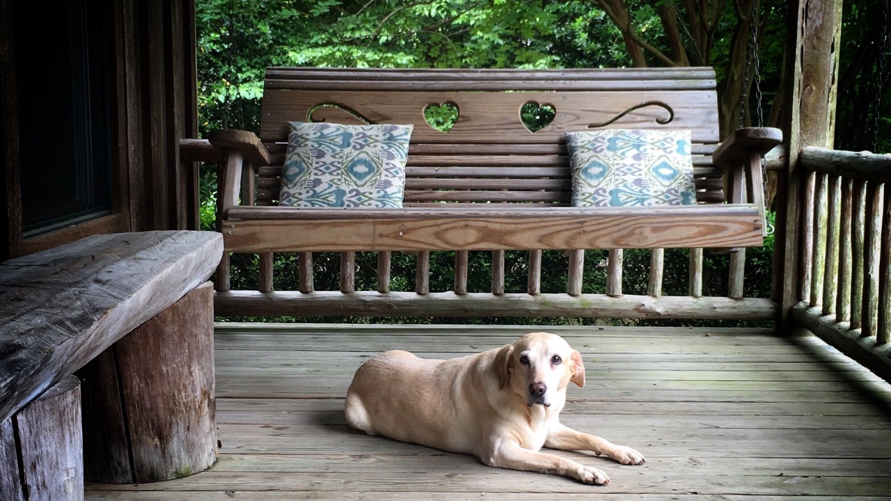Photo of Outdoor in Pangburn
