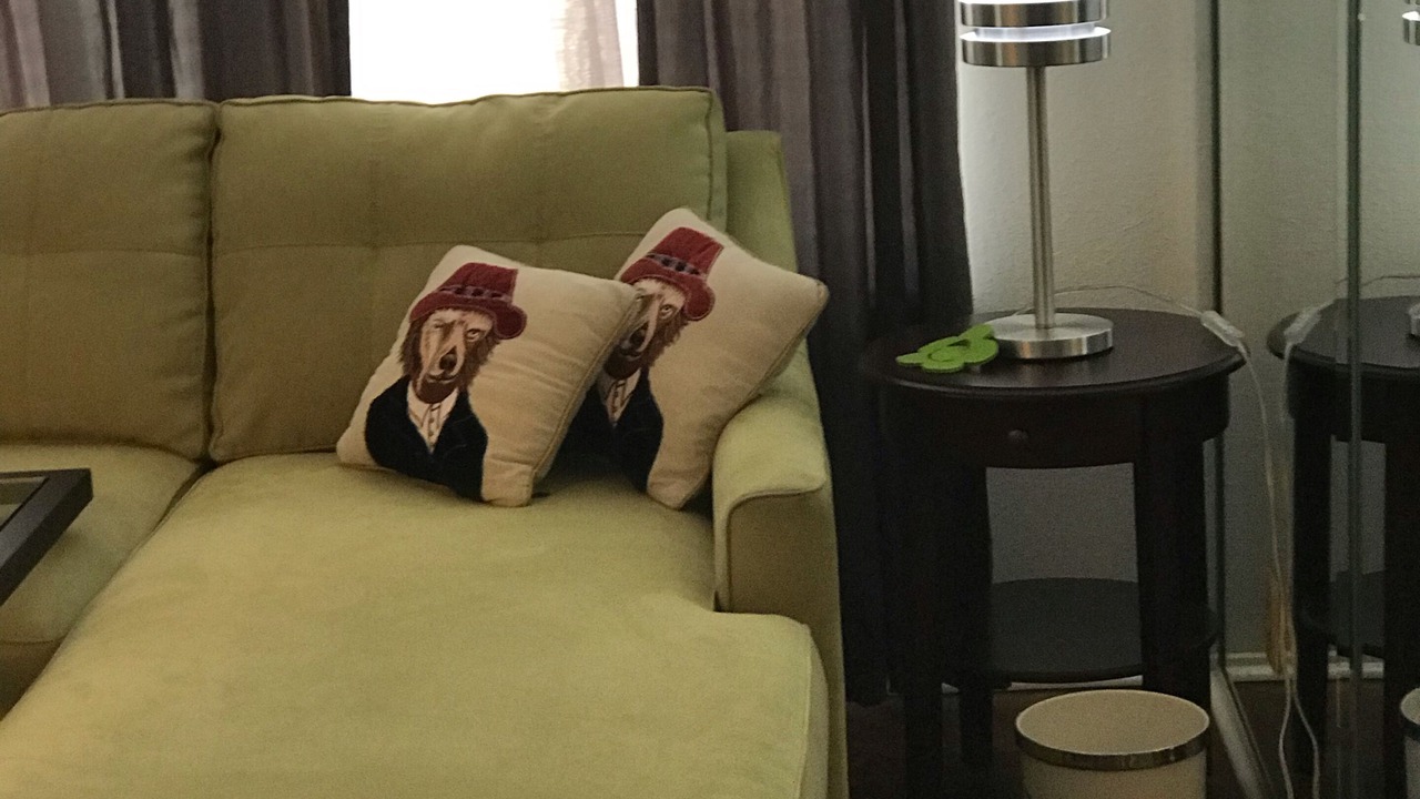 Photo of Bedroom in North University