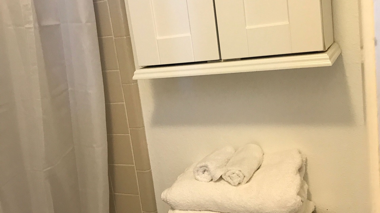 Photo of Bathroom in North University