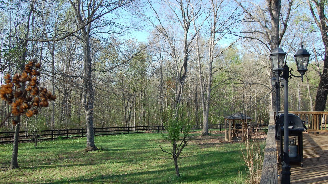 Photo of Others in Patrick Henry