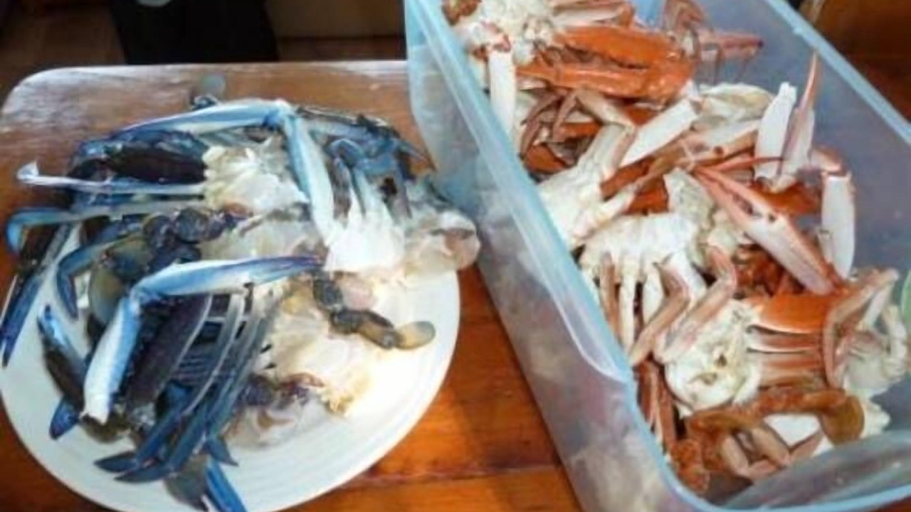 Photo of Others in Muloowurtie