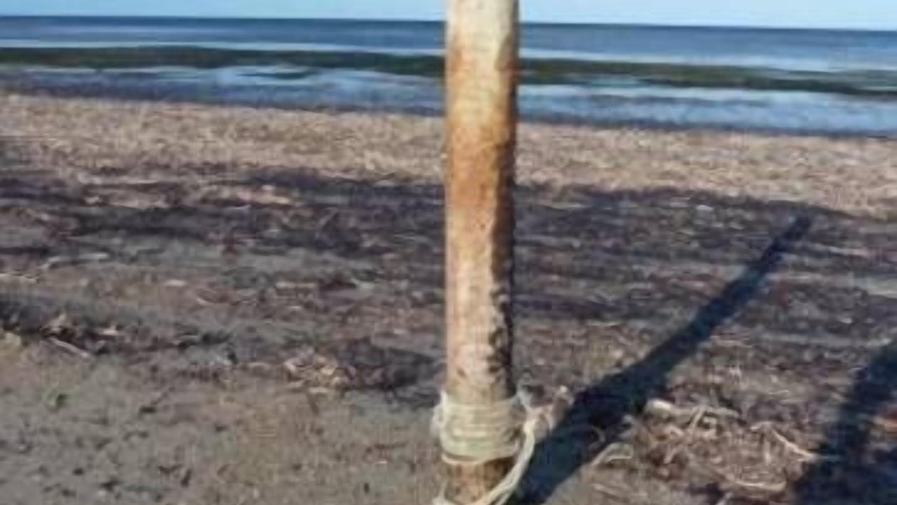 Photo of Others in Muloowurtie