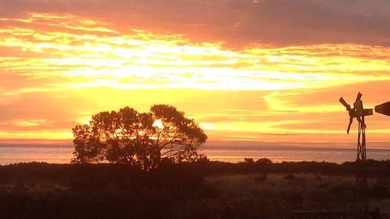 Photo of Others in Muloowurtie