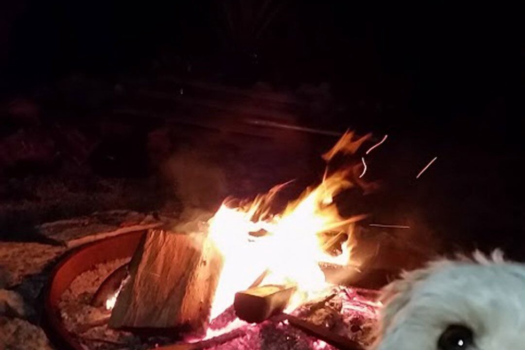 Photo of Livingroom in Muloowurtie