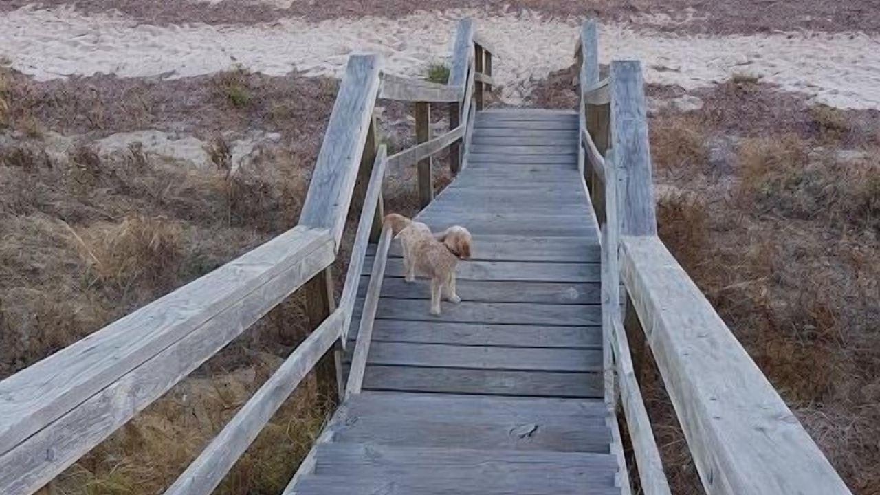 Photo of Others in Muloowurtie