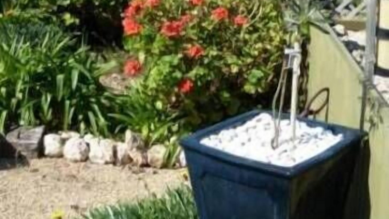 Photo of Outdoor in Muloowurtie