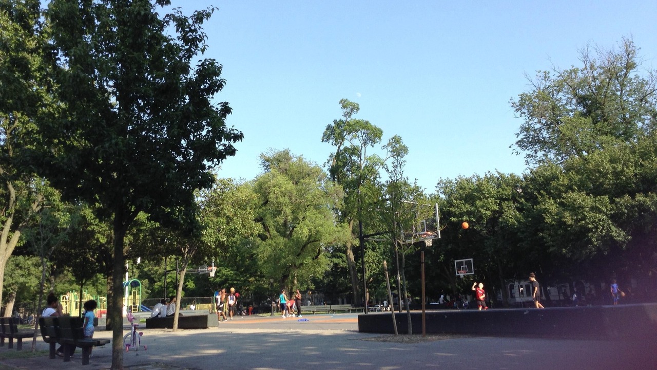 Photo of Others in Crown Heights