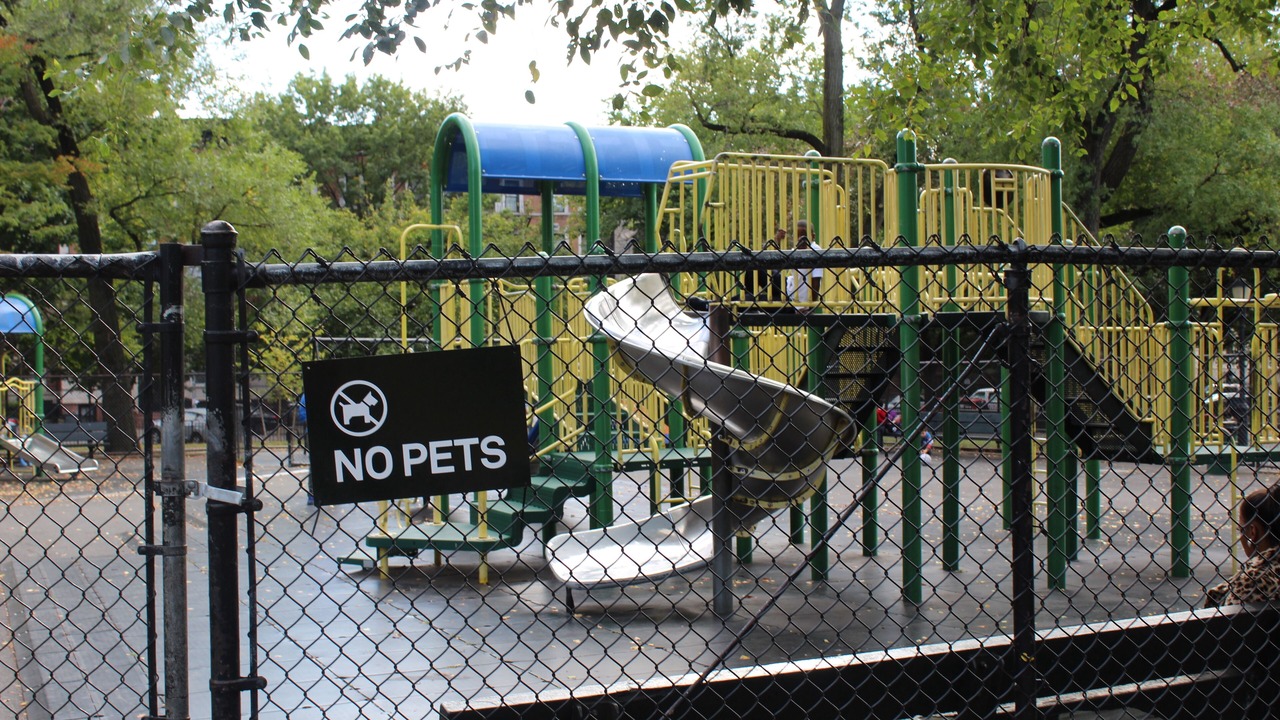 Photo of Others in Crown Heights