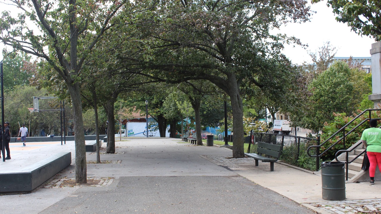 Photo of Others in Crown Heights