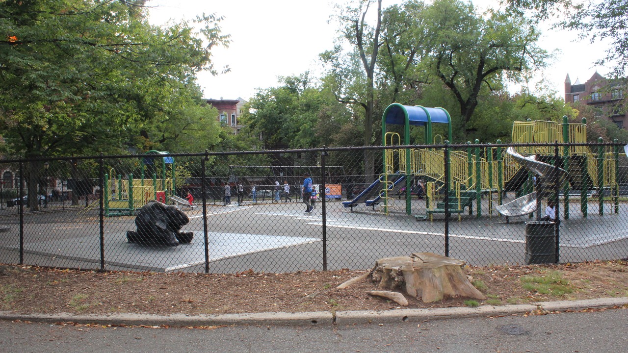 Photo of Others in Crown Heights