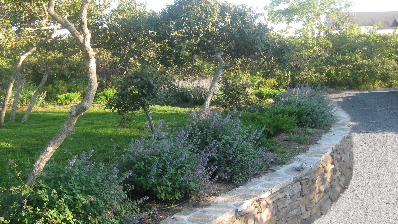 Photo of Outdoor in Tom Nevers