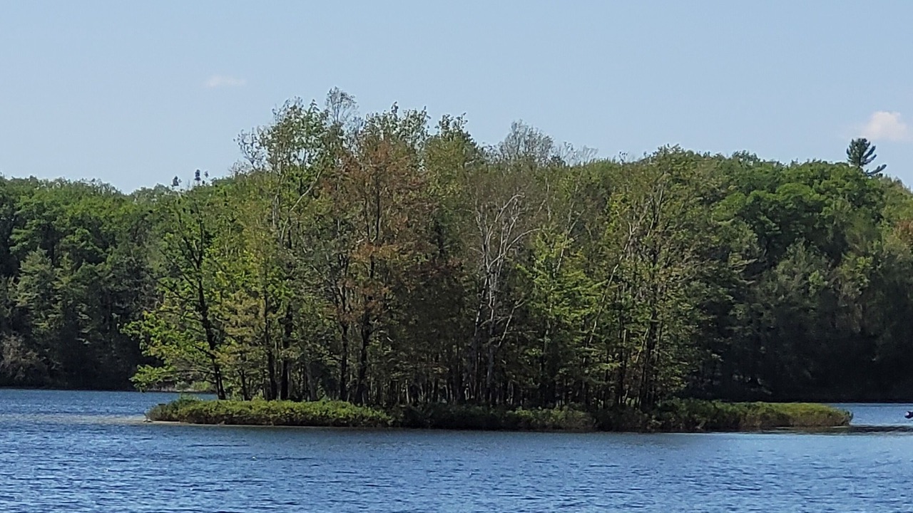 Photo of Outdoor in Le Roy