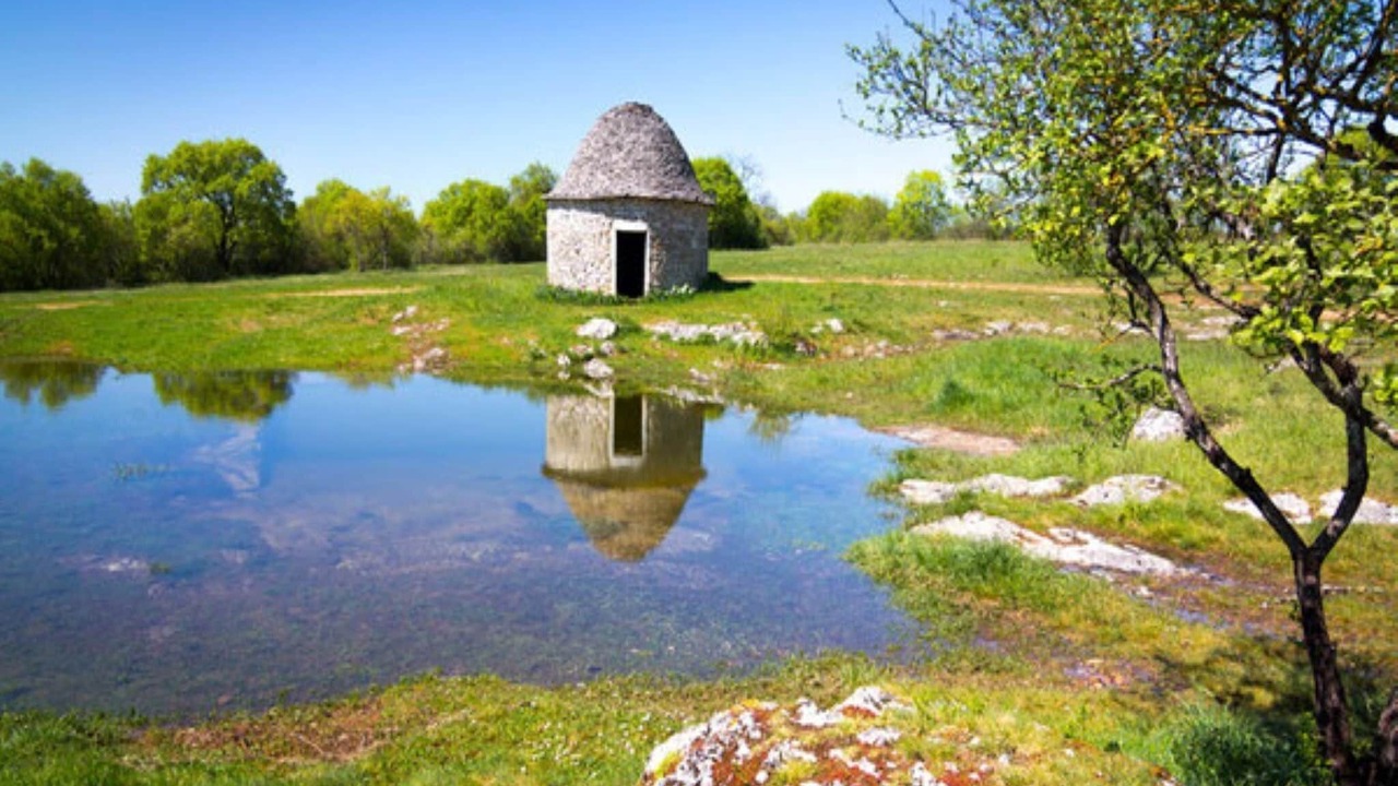 Photo of Others in Lavercantiere