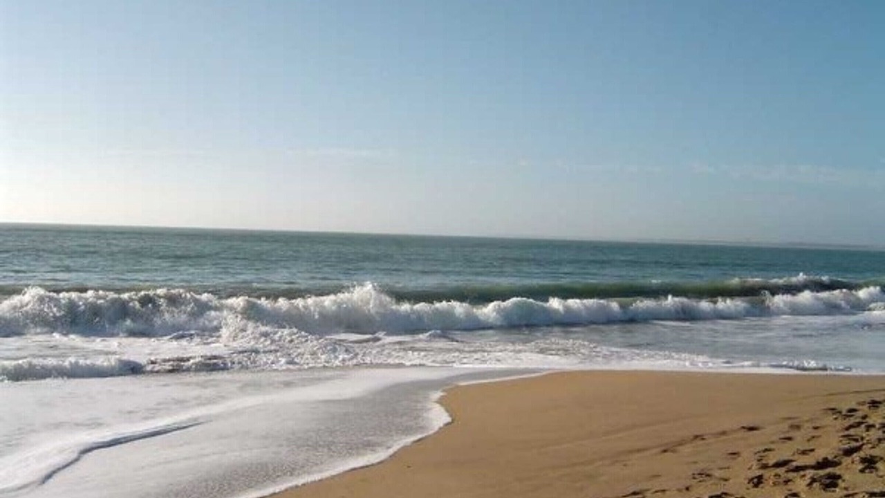 Photo of Others in La Faute-sur-Mer