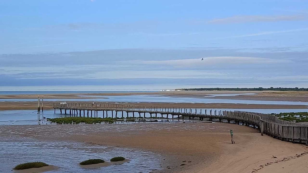 Photo of Others in LʼAiguillon-sur-Mer